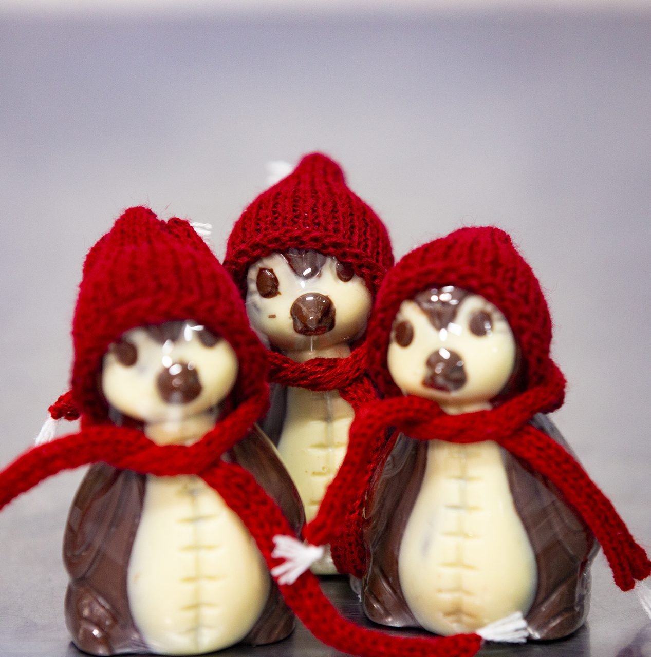 Chocolate Pequeno Bosque