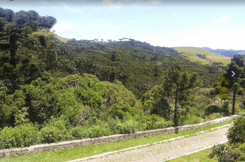 MIRANTE DOS PINHEIROS