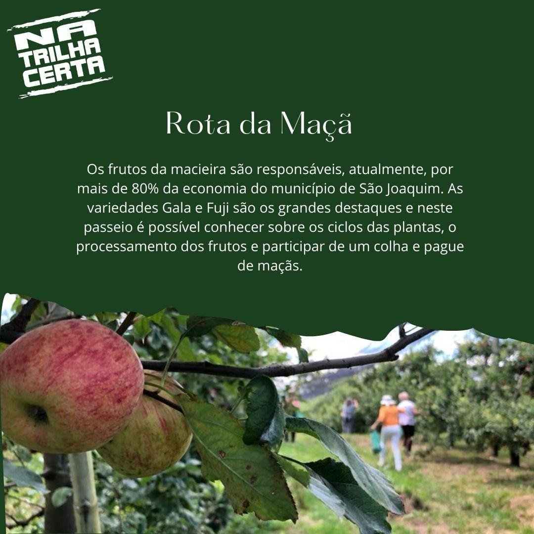 Agência de Viagens Na Trilha Certa