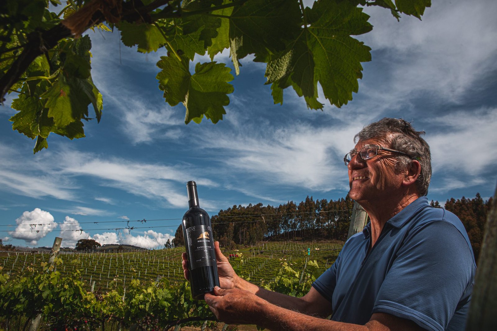 Tenuta Bergamaschi
