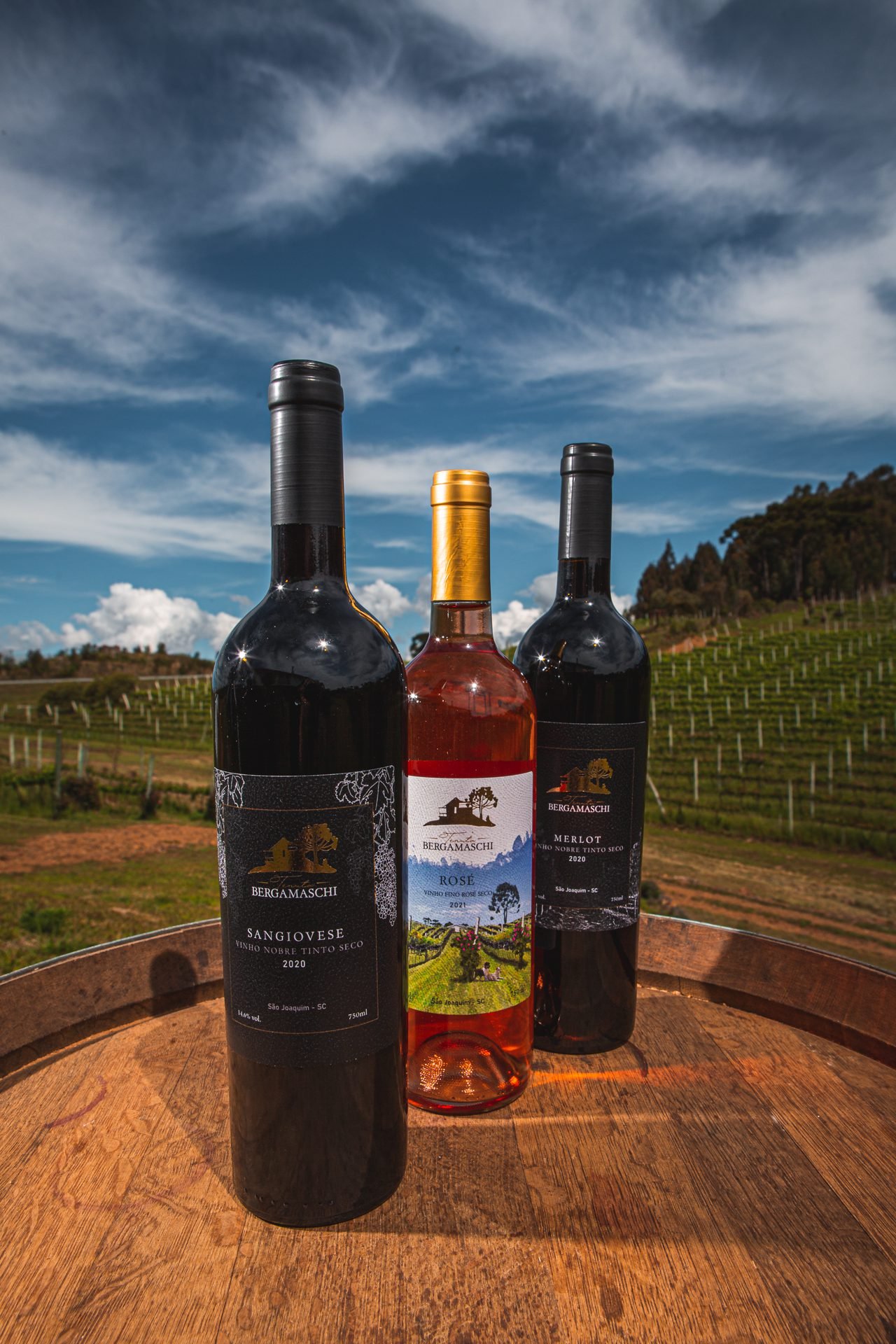 Tenuta Bergamaschi