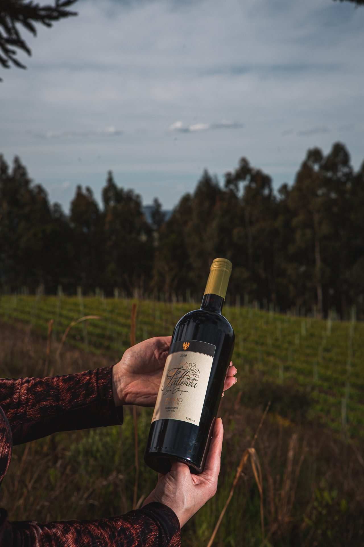 Altopiano Vinhas & Vinhos