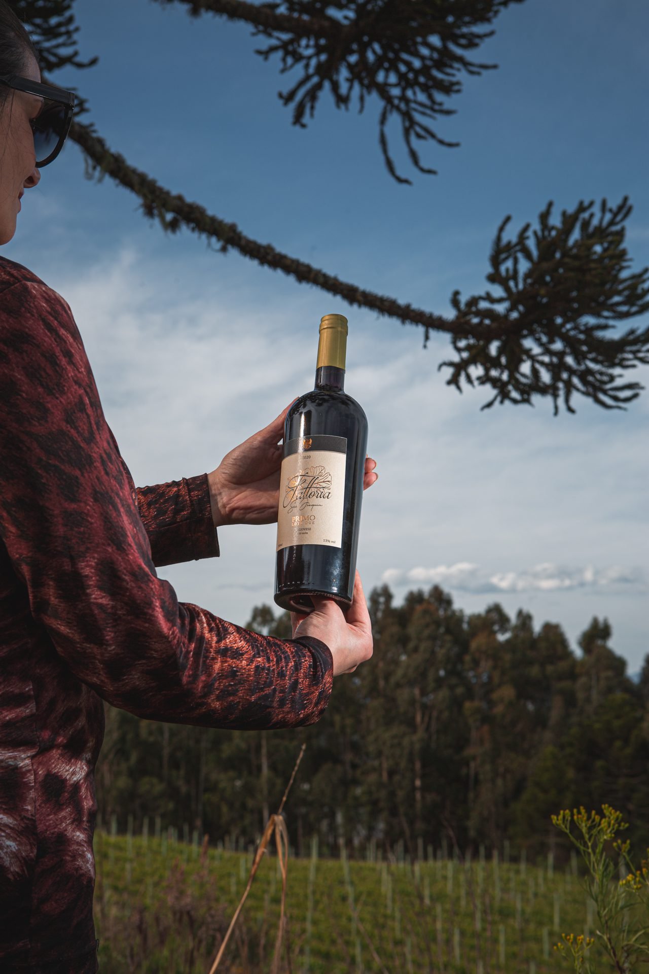 Altopiano Vinhas & Vinhos