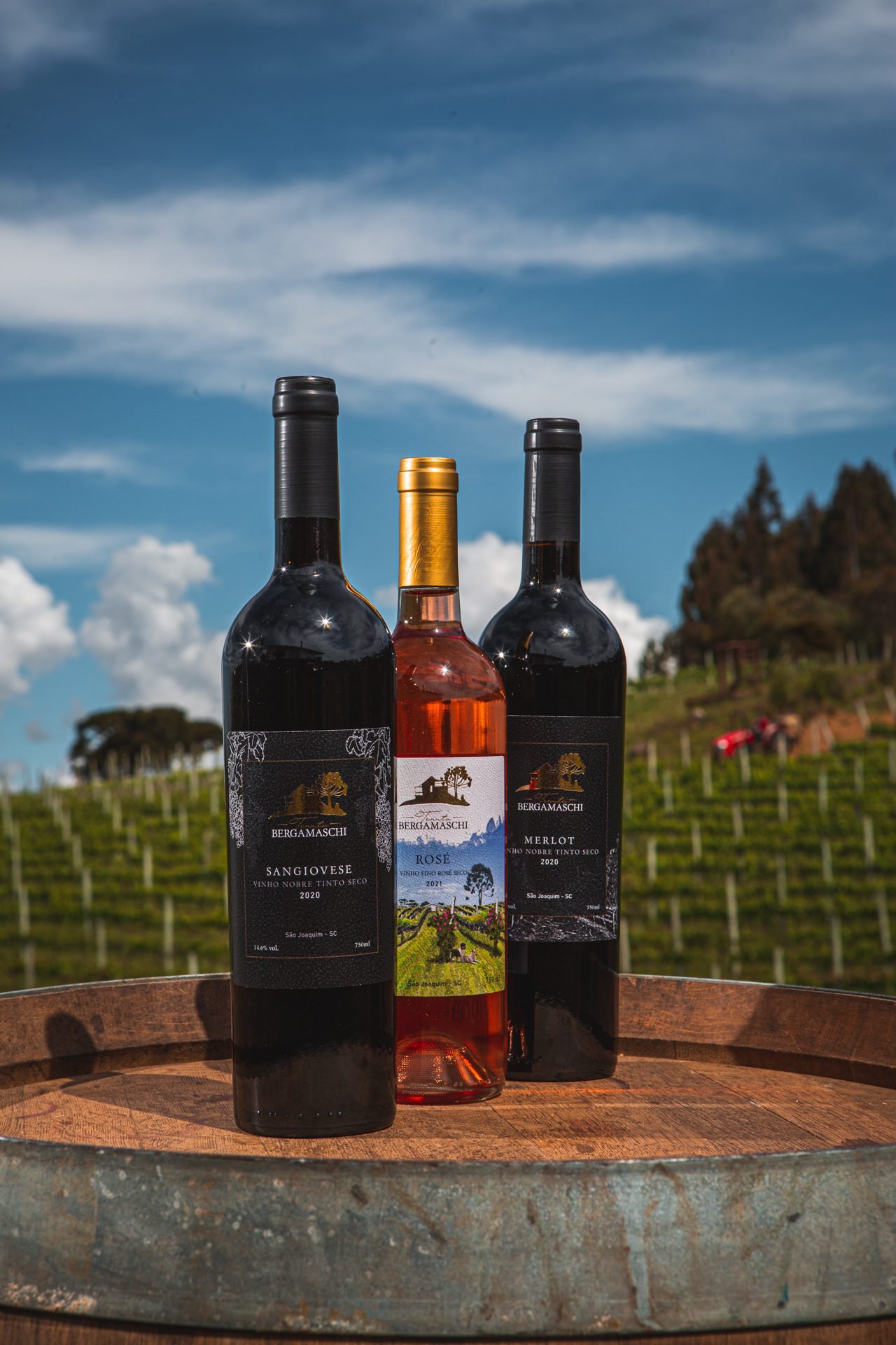 Tenuta Bergamaschi