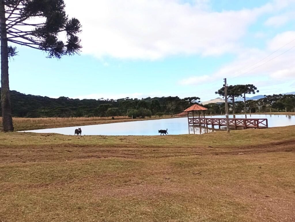 Fazenda Pinheirão